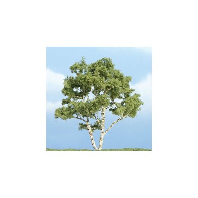 WS1601 BIRCH 4"(1)