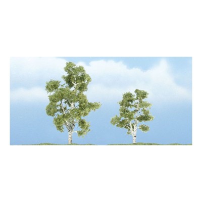 WS1603 SYCAMORE-3",2 1/4"(2)