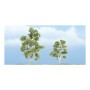 WS1603 SYCAMORE-3",2 1/4"(2)