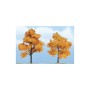 WS1604 FALL MAPLE-3",2 1/2"(2)