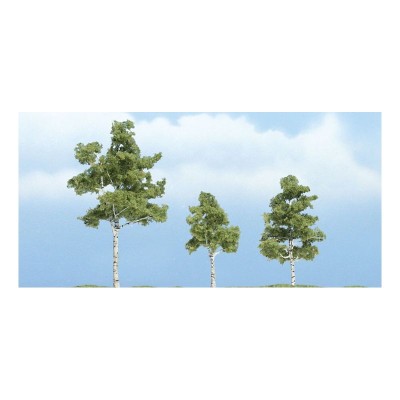 WS1605 PAPER BIRCH-3",2",1 1/2"(3)