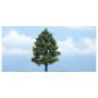 WS1608 SWEETGUM-4"(1)