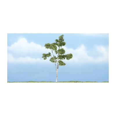 WS1616 PAPER BIRCH- 4"(1)