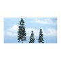 WS1619 JUNIPER- 4 1/4", 3", 2"(3)