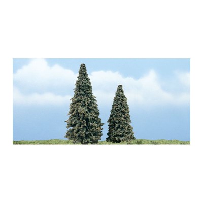 WS1625 CONIFER 3"-4"-2/PKGE.