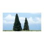 WS1626 EVERGREEN 4"-5"-2/PKGE.