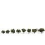 WS3501 CLASSIC TREES-SUN KISSED-3/4-1 1/4"
