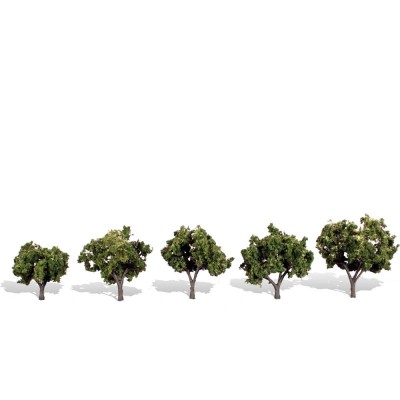 WS3502 CLASSIC TREES-SUN KISSED-1 1/4-2"
