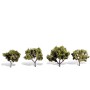 WS3503 CLASSIC TREES-EARLY LIGHT-2-3"