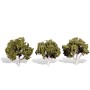 WS3534 CLASSIC TREES-waters edge -3-4"