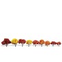 WS3540 CLASSIC TREES, harvest blaze, 1 1/4-3"