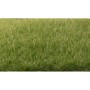 WS618 STATIC GRASS, medium green, 4mm