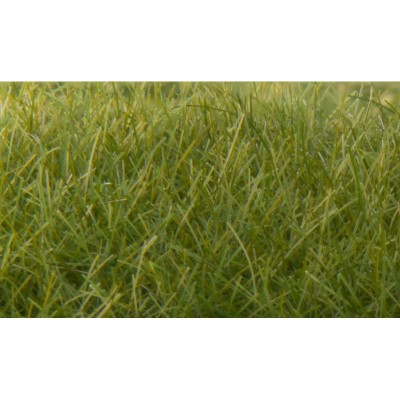 WS625 STATIC GRASS, dark green, 12mm