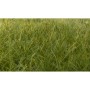 WS625 STATIC GRASS, dark green, 12mm