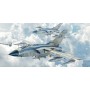 ITA2517 TORNADO IDS/ECR 1/32