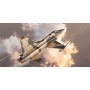ITA2827 F-5E TIGER II, 1/48
