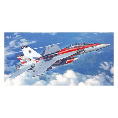 ITA2823 F/A-18F SUPER HORNET US NAVY 1/48