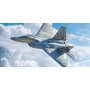 ITA2822 F-22 RAPTOR 1/48