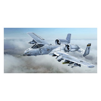 ITA2725 A-10C BLACK SNAKES 1/48