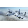 ITA2725 A-10C BLACK SNAKES 1/48