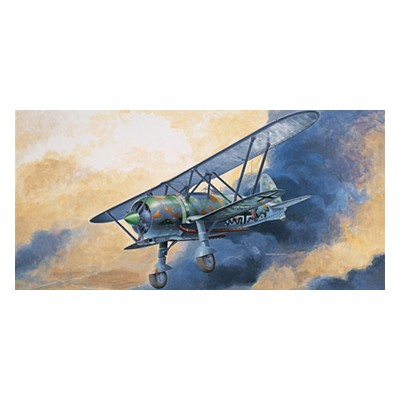 ITA2640 FIAT CR.42 FALCO NIGHT FIGHTER, 1/48 2025