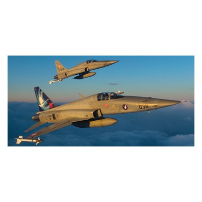 ITA1363 F-5 E/N TIGER 11 SUISSE SPEC.COLORS 1/72 *