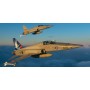 ITA1363 F-5 E/N TIGER 11 SUISSE SPEC.COLORS 1/72 *