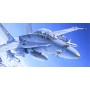 ITA0016 F/A-18 HORNET, 1/72