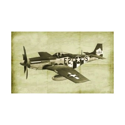 ITA2831 P-51D/K ETO ACES, 1/48 2024