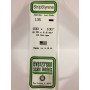 EVG135 .030 x .100 STRIPS 10/pk *5