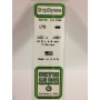 EVG178 .100 x .188 STRIPS 7/pk *5