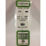 EVG179 .100 x .250 STRIPS 6/pk *5