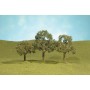 BAC32007 HO SCALE TREES-2.5"-3.5"WALNUT TREES(3)