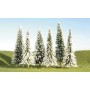 BAC32154 HO BULK TREES-4"-6"PINE TREES w snow(24)