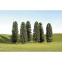 BAC32205 O 8"-10" CEDAR TREES(3PK) *1
