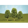 BAC32206 O 5 1/2"-6 1/2" DECIDUOUS TREES (3PK) *1