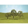 BAC32207 O 5" WALNUT TREES (2PK) *1