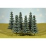 BAC32212 O 8"-10" BLUE SPRUCE TREES (3PK) *1