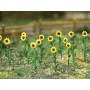 BAC32506 ALL SCALES SCENERY-sunflowers-1" tall (16pk) *1
