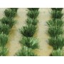 BAC32507 ALL SCALES SCENERY-detachable grass bushes (30pk) *1