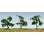BAC32510 FRUITING BUSH-3/4" TALL (18pk)