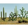 BAC32513 HO MIXED CACTI-1/4" YO 2.5" TALL (15pk) *1