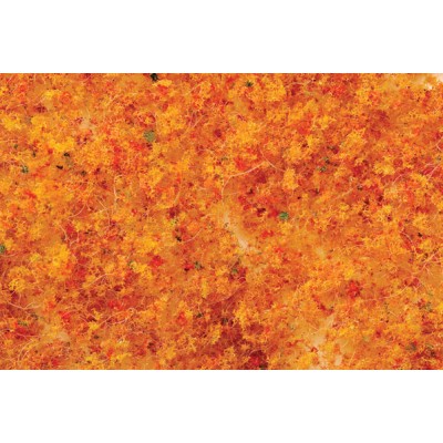 BAC32611 FOLIAGE-EARLY FALL-MEDIUM-30 CU.INCHES