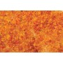 BAC32611 FOLIAGE-EARLY FALL-MEDIUM-30 CU.INCHES