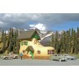 BAC35209 HO SHOE HOUSE *
