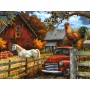 SUN520352 COOKIE AND FRIENDS, 500, 25